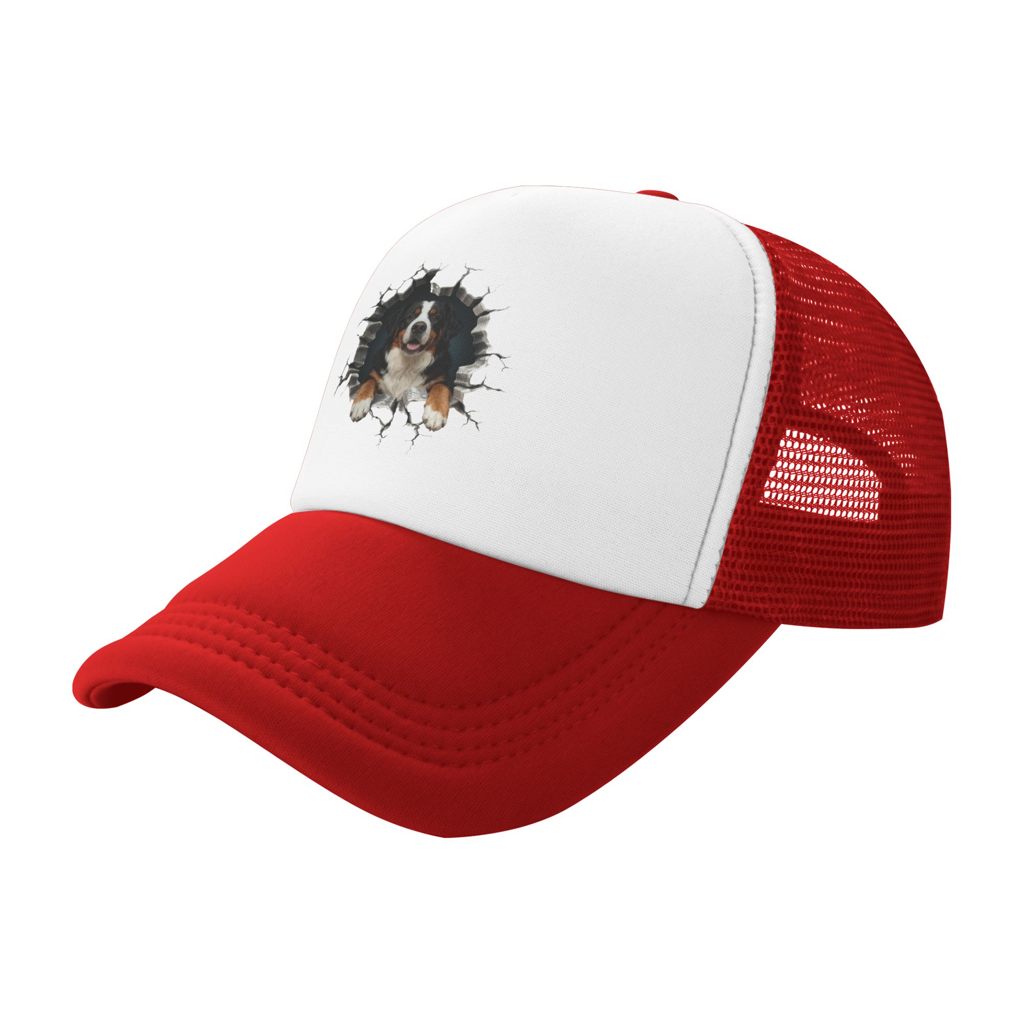 Breaking Through Bernese Mount - Trucker Hat Cap ulasan dan harga